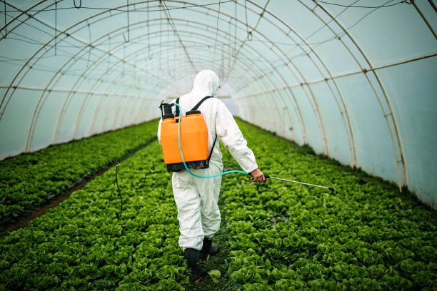 Reliable Rancho Santa Margarita, CA Pest Control Solutions